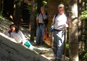Group on dune in forest