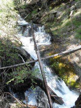 Deer Creek